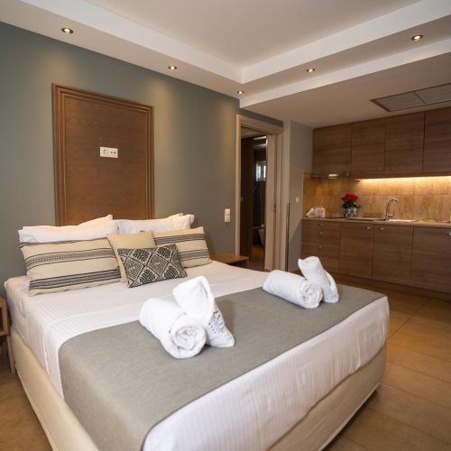 living room queen bed & kitchen